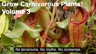 Grow Carnivorous Plants Volume 3  Nepenthes [upl. by Eelitan707]