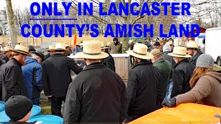 UNIQUELY LANCASTER COUNTYFire Company MUD SALESStrasburg Mud Sale 2024AMISH LAND Fundraiser [upl. by Eiznek]