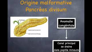 Pancréatite aiguë  5 Diagnostic étiologique [upl. by Lyns621]