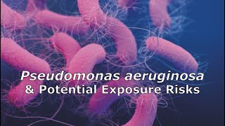 Pseudomonas aeruginosa and Potential Exposure Risks [upl. by Airotciv]