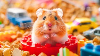 Minecraft World Adventure 🐹 Hamster Escapes the Most Dangerous Traps 🐹 Hamster Maze [upl. by Drobman]