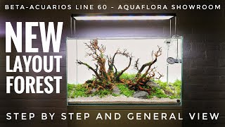 Stepbystep of BetaAcuarios Line 60 at Aquaflora Showroom  Diorama forest aquascape [upl. by Sally]