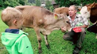 WieWirLeben  Urlaub am Bauernhof Kärnten 🐮 [upl. by Hughes378]