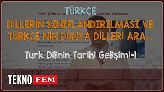 9 Sınıf TÜRKÇE  Türk Dilinin Tarihi Gelişimi1 [upl. by Manchester]