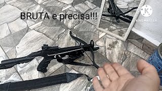 Balestra Alligator 80lbs teste de impacto e perfuração a 12 metros🔥🔥🔥 [upl. by Eivla]