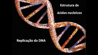 DNA e RNA estrutura e funções Processo de Replicação do DNA [upl. by Ayitahs]