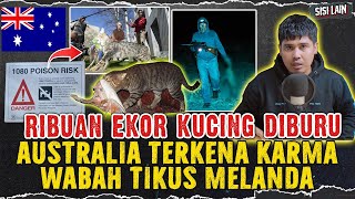 RIBUAN KUCING DIBUNH LALU WABAH TIKUS MENYERANG AUSTRALIA [upl. by Allecram128]