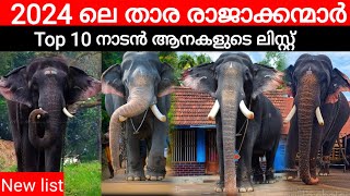 നാടൻ ആനകളിലെ താര രാജാക്കന്മാരായ 12 ആനകൾ Top 10 elephants in kerala 2023 Top 10 elephants in kerala [upl. by Janerich]