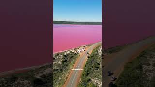 Lake Hillier Australia lakehillier australia [upl. by Lyrak589]