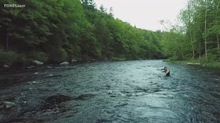 Flocking to the Farmington River  Water flow is perfect for fishing and other activities [upl. by Altis409]