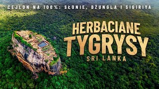 Herbaciane tygrysy  Sri Lanka z ITAKĄ [upl. by Rem373]