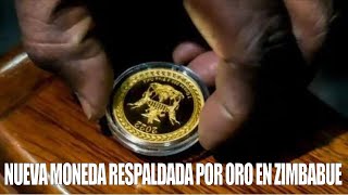 La Nueva Moneda Respaldada por Oro de Zimbabwe ¿Amenaza para el Dólar [upl. by Delphina]