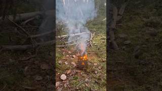 kleines gemütliches Feuer in Schweden outdoor bushcraft fire [upl. by Gross]