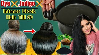 No DyeNo IndigoUse This Powder To Make Premature White Hairs Black Naturally amp Reverse Greying [upl. by Asilrac]