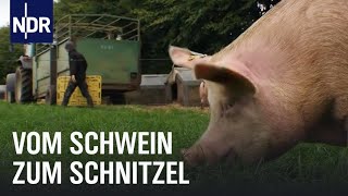 Schweinefleisch Vom Ferkel zum Bioschnitzel  Wie geht das  NDR [upl. by Salot51]