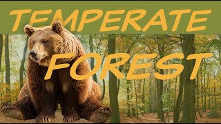 Explore the TEMPERATE FOREST Biome 🍁Nature Ecology amp Environment [upl. by Ertnod714]