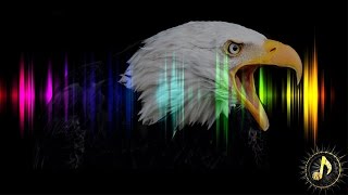 Cinematic Eagle Cry Sound Effect [upl. by Vadnee]