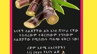 Jamila YouTube 2⃣ جميلهሁለ ገብ ዩቱብ 🧕 is liveስበር መረጃ 💚💛❤️ [upl. by Pierette]