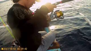 shimano saragosa 8000f vs amberjack [upl. by Maleeny]