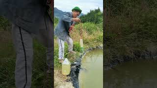 Funny Straw Hat Funny interesting and silly things often found in rural life Top funny video 15 [upl. by Nauqet254]