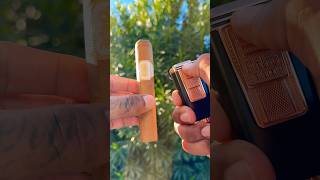 🔥💨 Tranquility with a delicious Drew Estate Undercrown Shade cigar cigar asmr shorts luxury [upl. by Llezo]