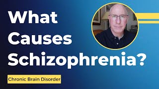 What Causes Schizophrenia [upl. by Littman]