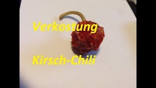 Verkostung KirschChili [upl. by Morty]