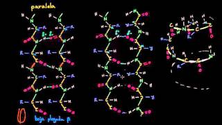 Introducción a la estructura de las proteínas  Macromoléculas  Biología  Khan Academy en Español [upl. by Eiramyma]