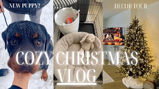 COZY CHRISTMAS VLOG new puppy Christmas decor tour home updates  Demi Berube [upl. by Amehsyt]