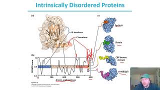 Chapter 4  pt8 Intrinsically Disordered Proteins [upl. by Henrik]