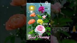 GOOD MORNING video [upl. by Sell]