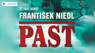 František Niedl  Past  Audiokniha [upl. by Endor]