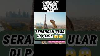 Serangan ular piton raksasa dikota Paris ‼️shorts shortvideo [upl. by Fauman]