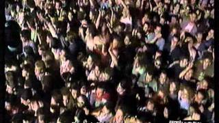 Zucchero  Voodoo voodoo Live 1995  Intro [upl. by Gerta914]