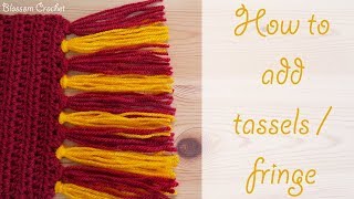 Absolute Beginner Crochet Series Ep 10 How to add tassels  fringe to your projects [upl. by Ybur]