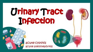 Urinary Tract Infection  Overview signs and symptoms pathophysiology causes and treatment  UTI [upl. by Alleirbag]