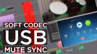 Mute Synchronization With Soft Codecs and Tesira EXUBT [upl. by Mossberg]