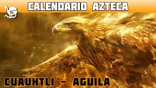 CUAUHTLI  Signo del Águila  Calendario Azteca [upl. by Konyn]