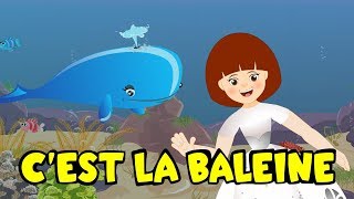 Cest la baleine  25 min de comptines et chansons pour enfants [upl. by Jaunita122]