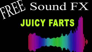 Free Sound Effects  10 Minutes of JUICY FARTS with AUDIO LEVELS  HD [upl. by Celestyna553]