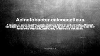 Medical vocabulary What does Acinetobacter calcoaceticus mean [upl. by Pippo]