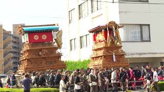 西条祭り 2023 新町泉 御所通 若草町 [upl. by Hiltner]