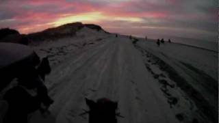 Cape Cod Beach Ride  Ridge Valley Stables [upl. by Akihsar]