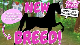 AMERICAN SADDLEBRED COAT COLORS STEPPING PACE SPECIAL GAITS RELEASE DATE amp MORE STAR STABLE [upl. by Laeno]