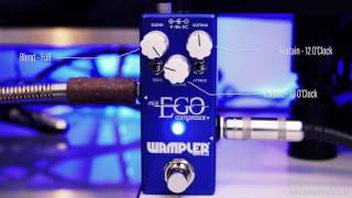 Wampler Ego Mini  Tom Quayle Demo  4k [upl. by Codel]