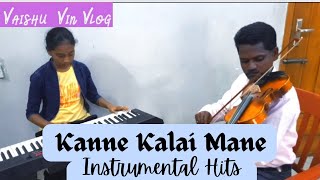 Kanne Kalai Mane  Instrumental Hits kamalhaasan kamal sridevi yesudas ilayaraja viral trend [upl. by Emlin]