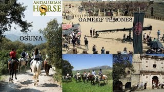 Osuna GAME OF THRONES [upl. by Esaertal558]