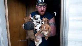 Animal Rescue Team Rescues Hundreds [upl. by Lukey958]