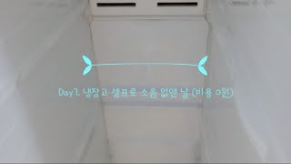 냉장고 성에 없애기  10년 된 냉장고 소음이 나서 냉동실을 열어보았습니다  frosted frige [upl. by Dotty]