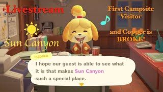 First Smug and Opening Up the Island for Flowers  Animal Crossing New Horizons [upl. by Oluap]